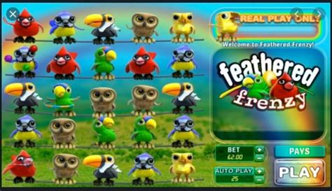 Feather Frenzy Review 2024